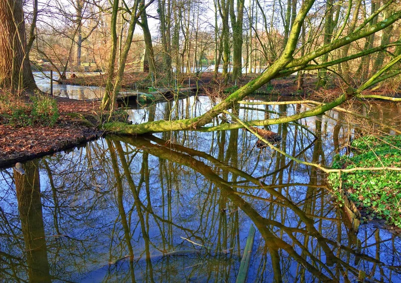 100673 Natur - Bach im Wald Puzzle