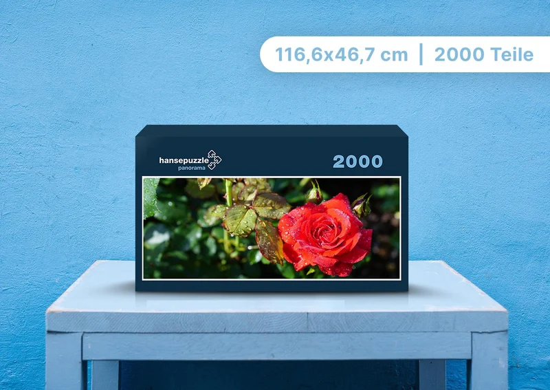 98974 Natur - Rose Puzzle