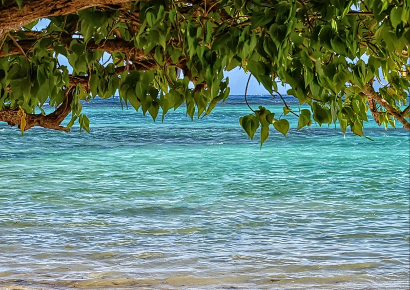 99460 Natur - Meer Puzzle