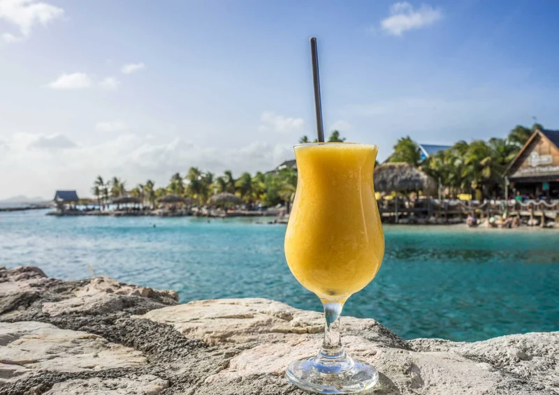 100725 Natur - Coctail Puzzle