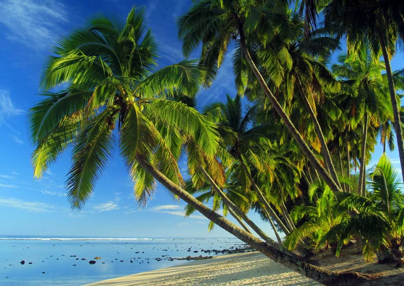 100755 Natur - Tropischer strand Puzzle