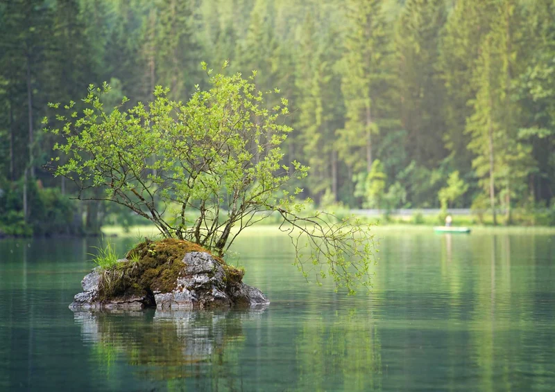 100982 Natur - See Puzzle