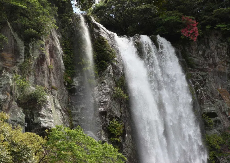 100778 Natur - Wasserfall Puzzle