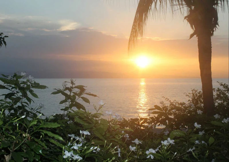 99034 Natur - Sonnenaufgang am Meer Puzzle