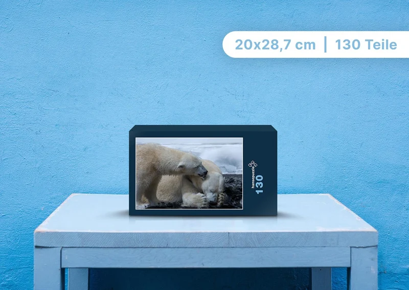 101113 Tierwelt - Eisbären Puzzle