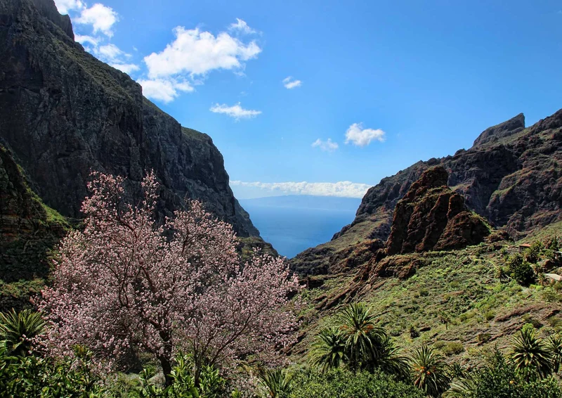 99841 Reisen - Teneriffa Puzzle