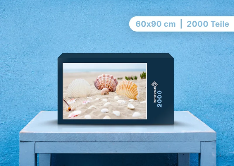 100470 Hintergründe - Muscheln Puzzle