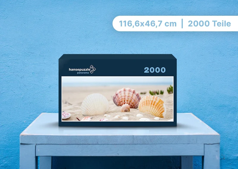 100470 Hintergründe - Muscheln Puzzle