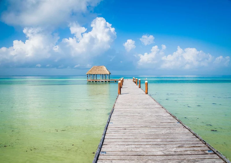 99890 Natur - Isla Holbox Puzzle