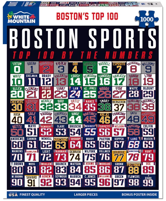 PFG Boston's Top 100 (1000pcs) (Usage/Used - PUZZLES FOR GOOD)