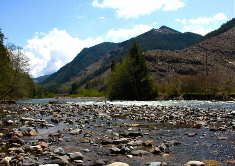 102049 Natur - Fluss Puzzle