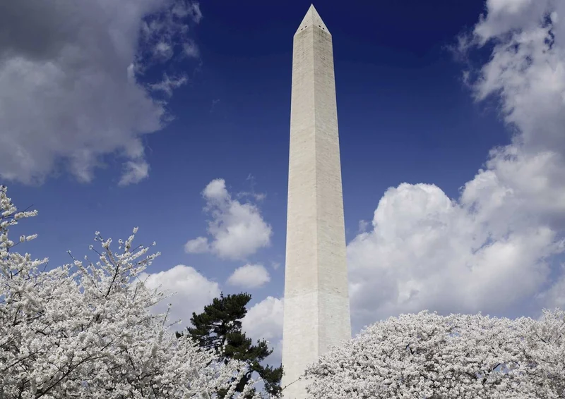101451 Reisen - Washington Monument Puzzle