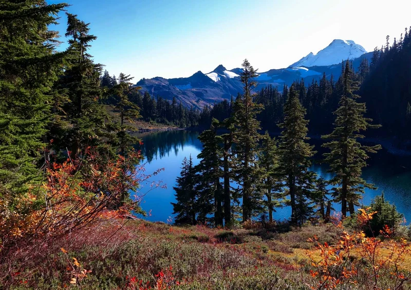 101463 Natur - Landschaft Puzzle