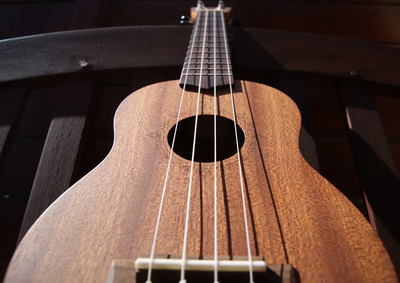 101972 Musik - Gitarre Puzzle