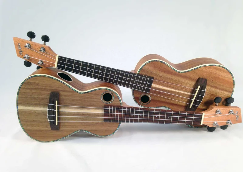101978 Musik - Ukolele Puzzle