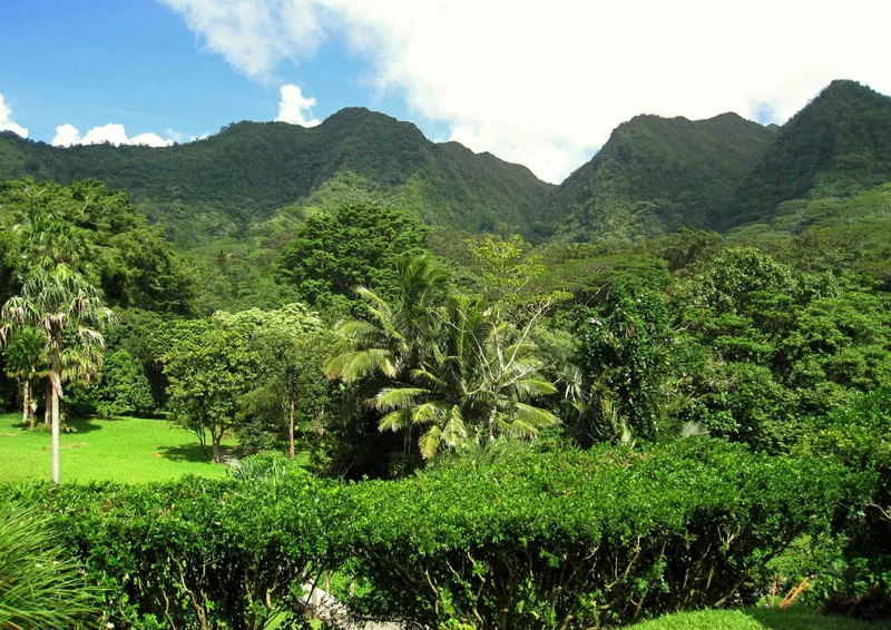 101995 Natur - Grüne Landschaft Puzzle