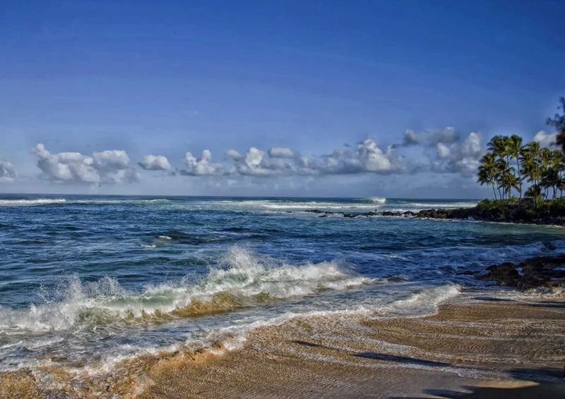 102002 Natur - Meer Puzzle