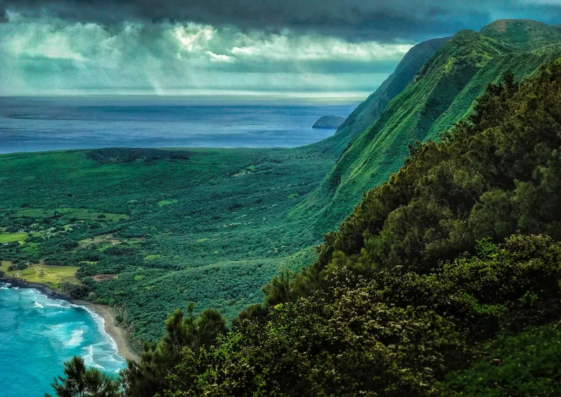 103456 Natur - Grüne Landschaft Puzzle