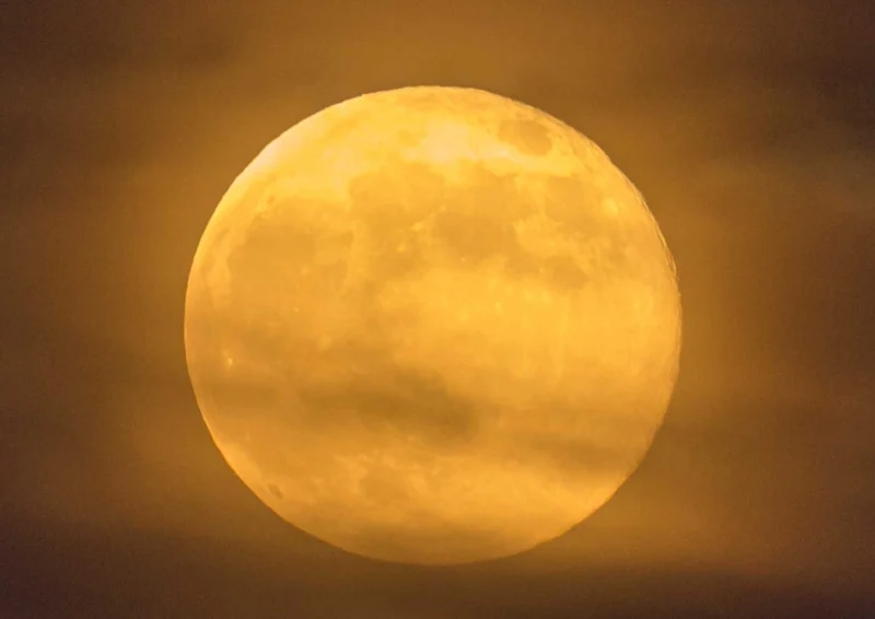 102349 Natur - Vollmond Puzzle