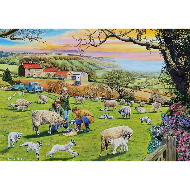 Call the Vet, Trevor Mitchell (4x500pcs)