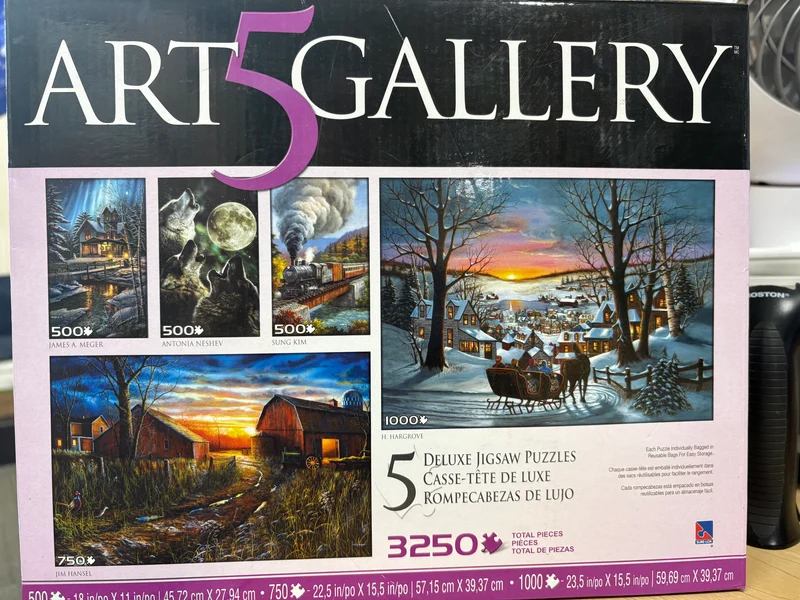 PFG Art Gallery 5-in-1 Multipack (Usage/Used - PUZZLES FOR GOOD)