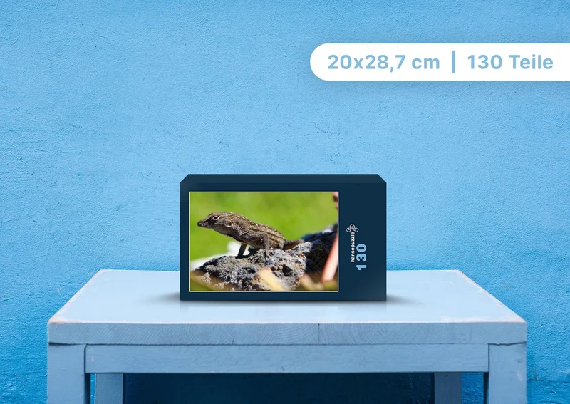 103504 Tierwelt - Eidechse Puzzle