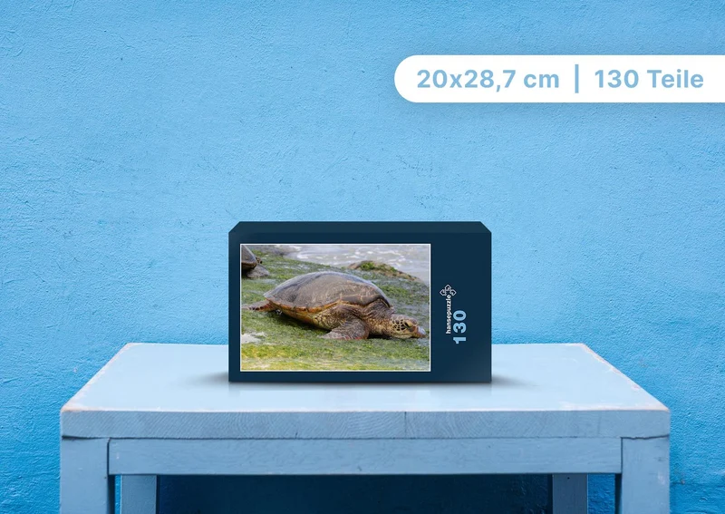 103527 Tierwelt - Wasserschildkröte Puzzle
