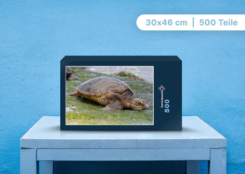 103527 Tierwelt - Wasserschildkröte Puzzle