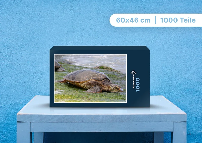 103527 Tierwelt - Wasserschildkröte Puzzle