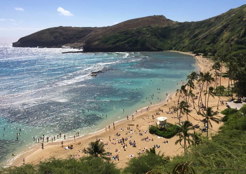 102451 Reisen - Hawaii Puzzle