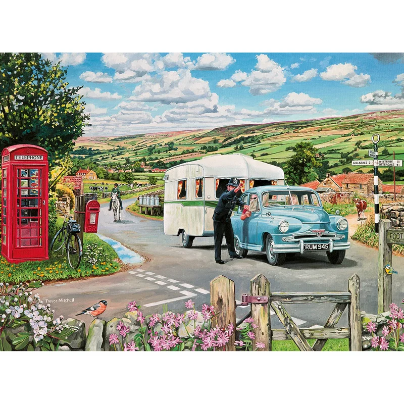 Which Way to the Campsite?, Trevor Mitchell (1000pcs)