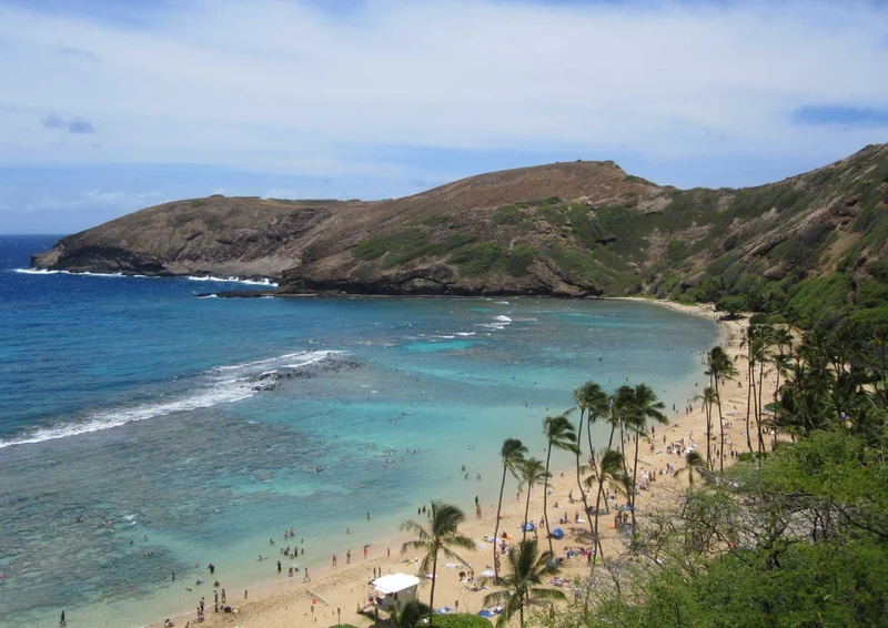 102980 Reisen - Hanauma Bay Puzzle