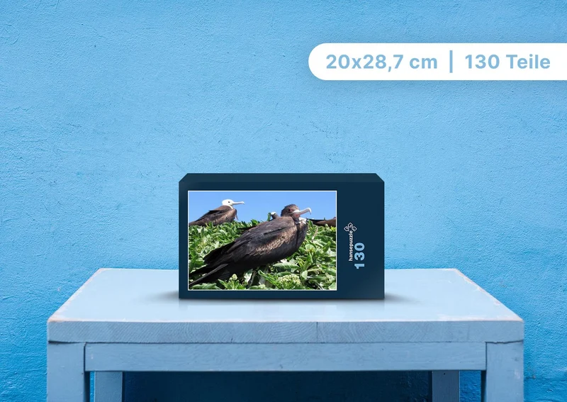 101875 Tierwelt - Fregattvogel Puzzle