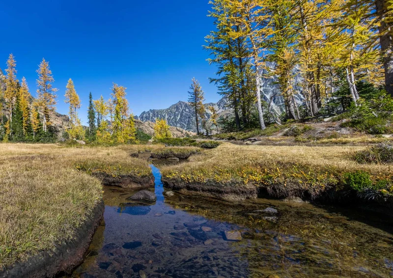 102500 Natur - Bach Puzzle