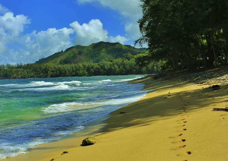 103032 Natur - Strand Puzzle