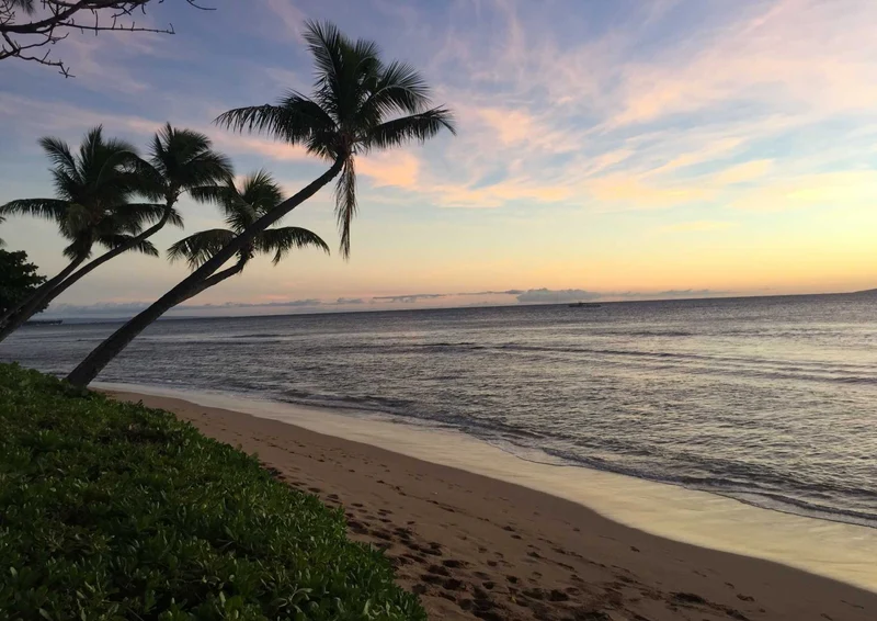 102535 Natur - Maui Puzzle