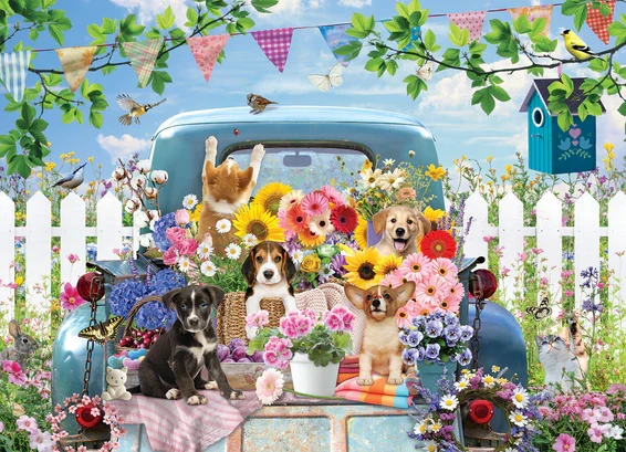 Country Truck in Summer (500pcs)