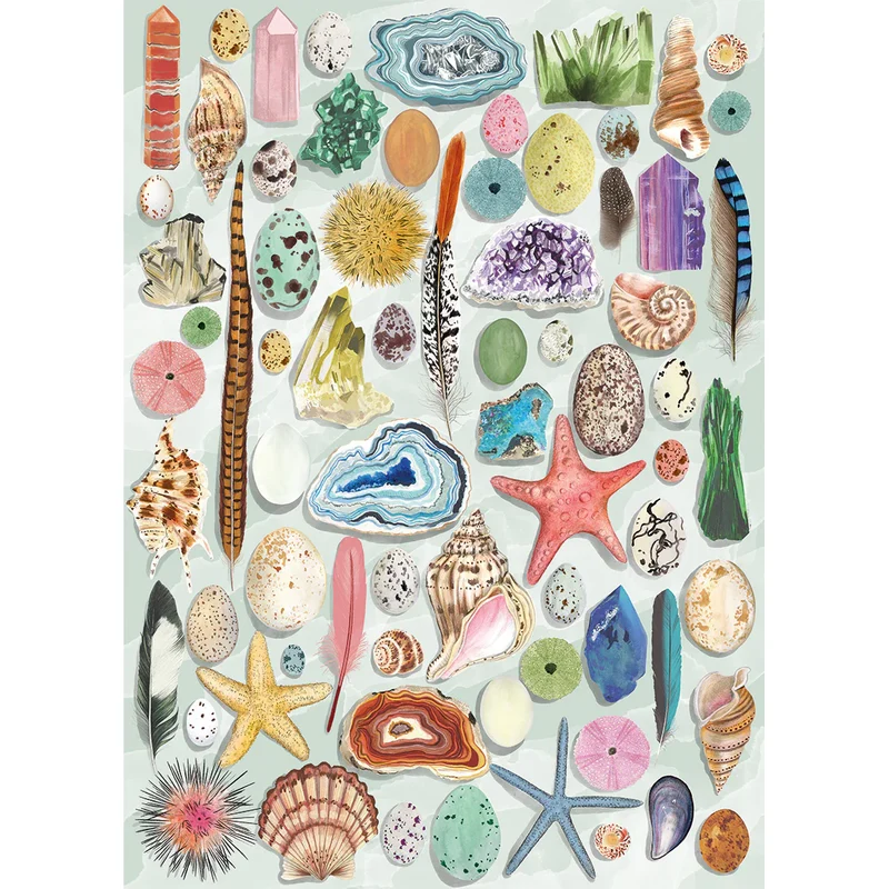 The Art File - Natural Curiosities (1000pcs)