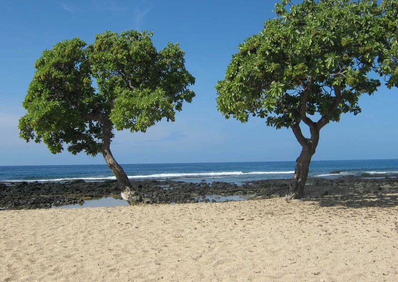 101900 Natur - Meer Puzzle