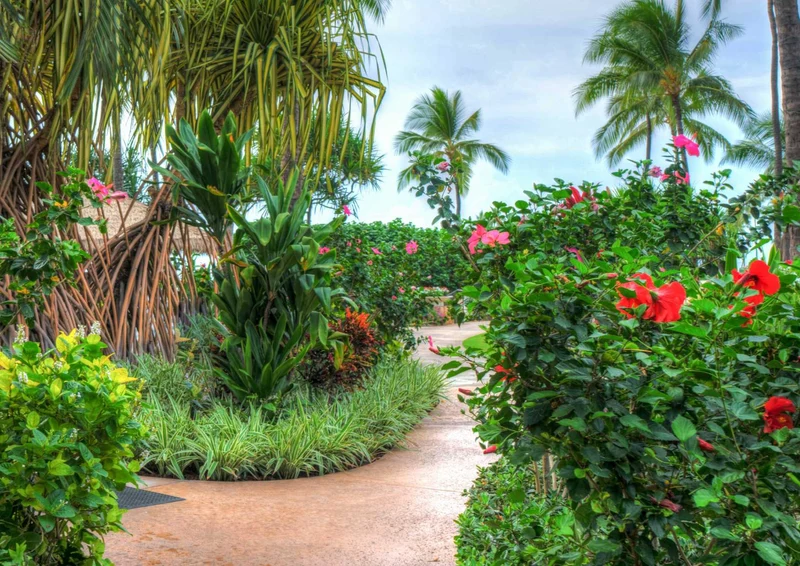 102690 Orte - Hawaii Puzzle