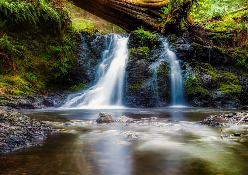 101551 Natur - Kleiner Wasserfall Puzzle