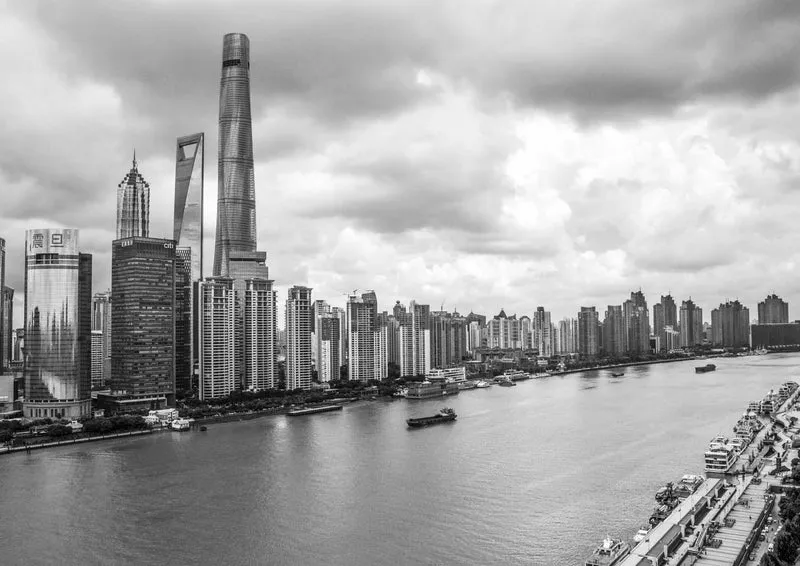 101556 Reisen - Shanghai Puzzle
