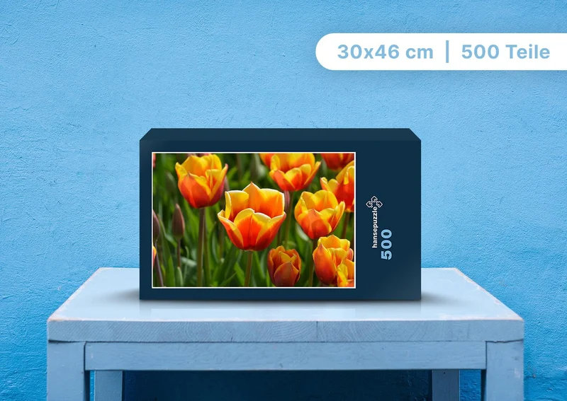 101351 Natur - Tulpen Puzzle