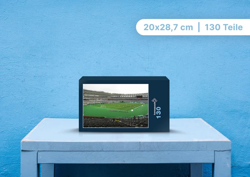 101587 Menschen - Stadion Puzzle