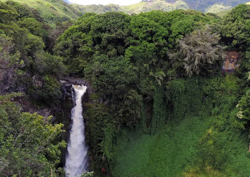 103173 Natur - Wasserfall Puzzle