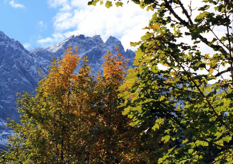 104000 Natur - Bäume Puzzle