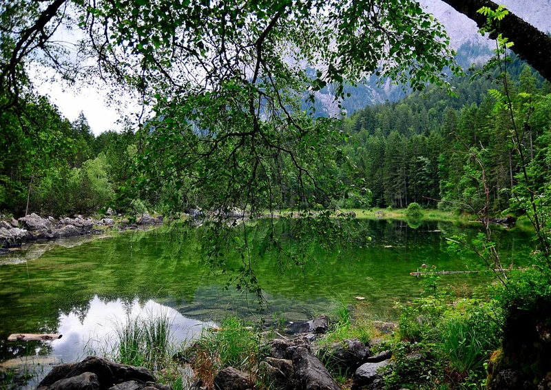 104023 Natur - See Puzzle