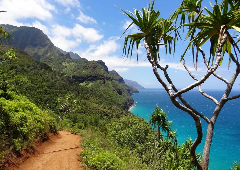 103326 Orte - Kauai Puzzle
