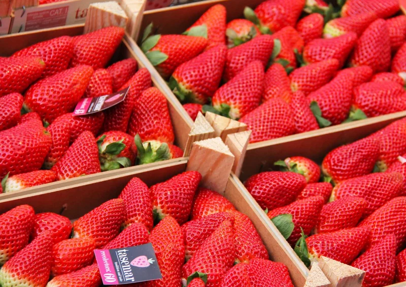 105740 Ernährung - Erdbeeren Puzzle