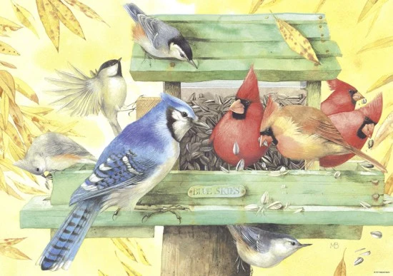 PFG Birds, Marjolein Bastin (1000pcs) (Usage/Used - PUZZLES FOR GOOD)